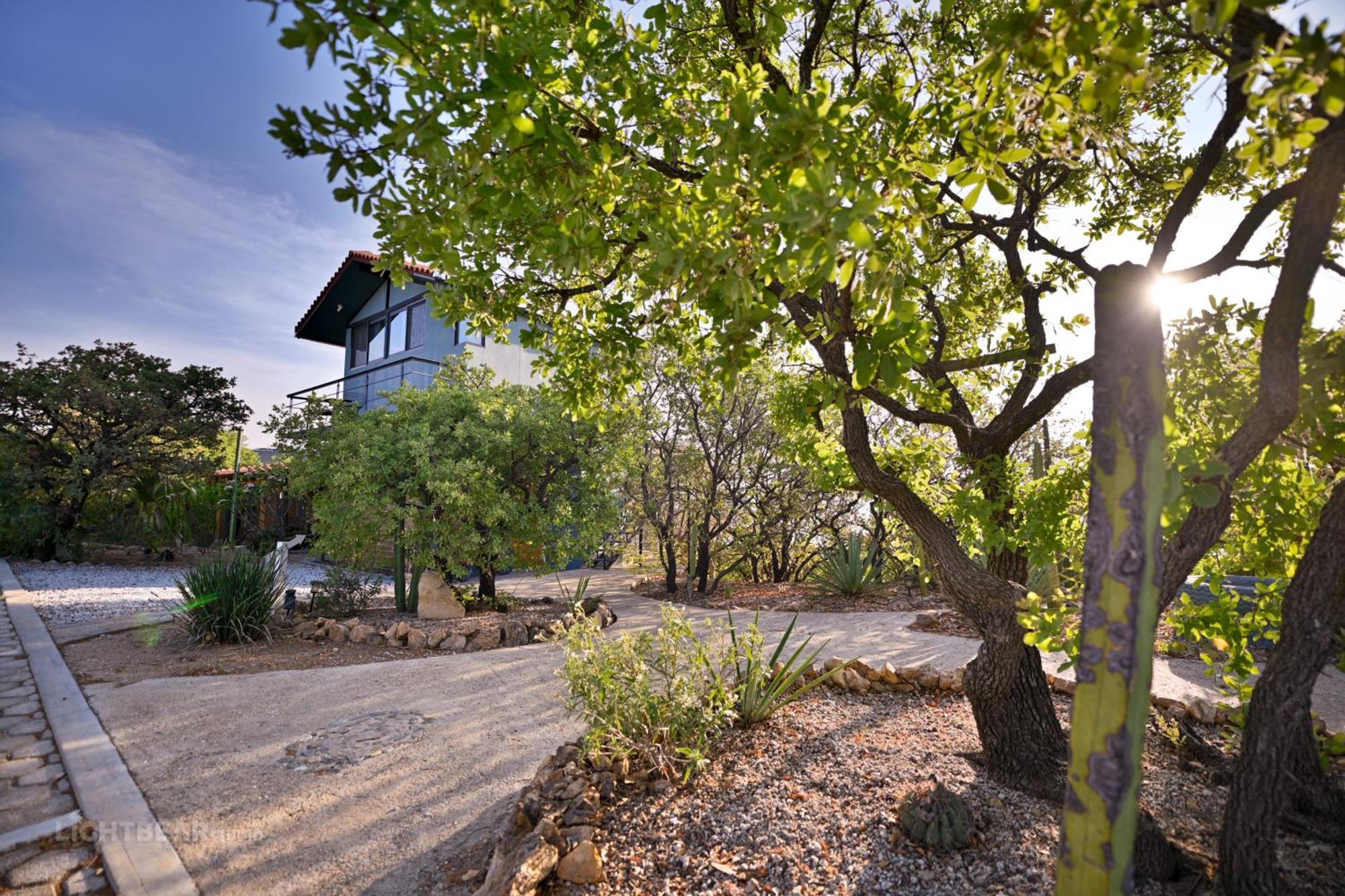 Utopia Casas Boutique Oaxaca Dış mekan fotoğraf